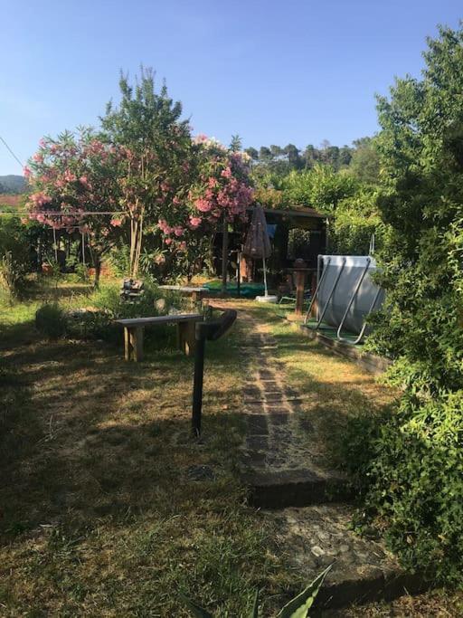 Апартаменти Le Rose , Relax In Casolare Del 1700 Сарцана Екстер'єр фото