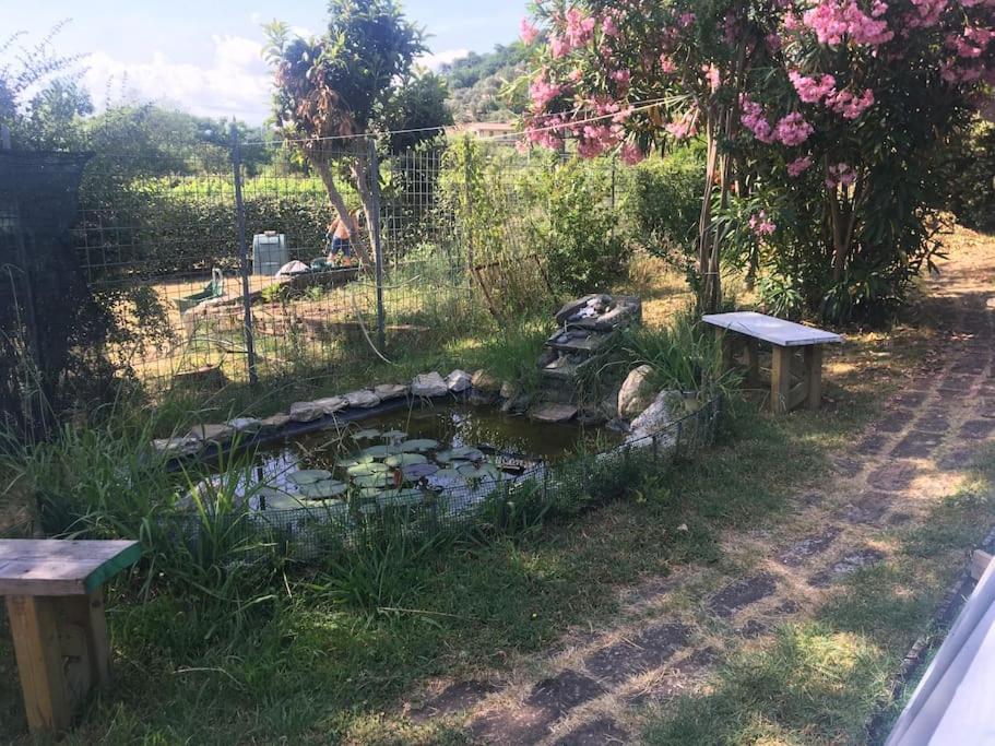 Апартаменти Le Rose , Relax In Casolare Del 1700 Сарцана Екстер'єр фото